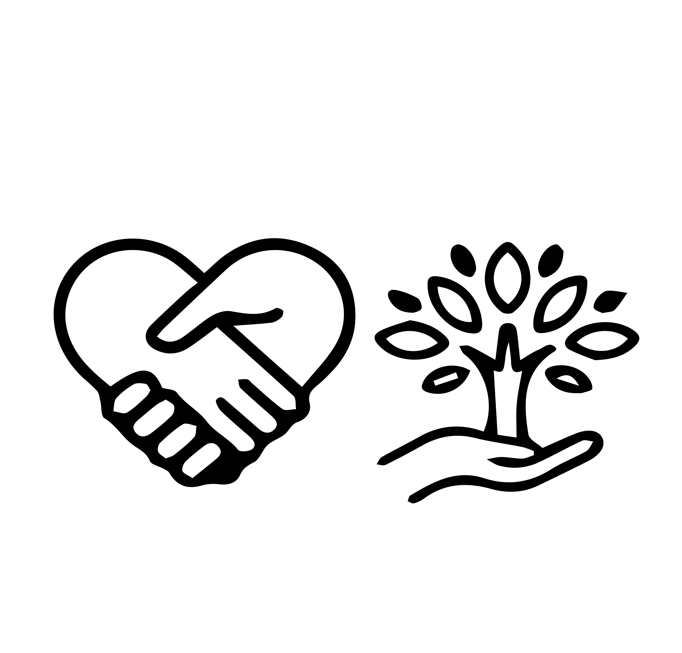 القطاع المجتمعي